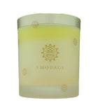 Autums Leaves Scented Candle 195 g